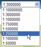 Cuadro Zoom To Scale